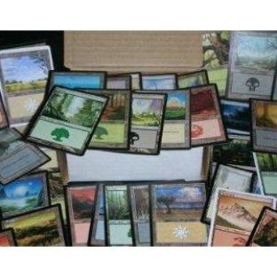 300 Magic the Gathering Basic Land Cards