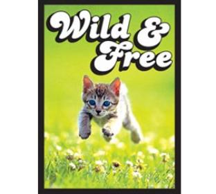 Legion Wild and Free Standard Sized 50 ct Sleeves