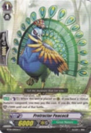 Protractor Peacock