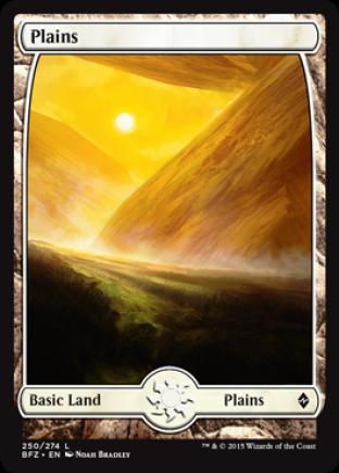 Plains (250) (Full Art)