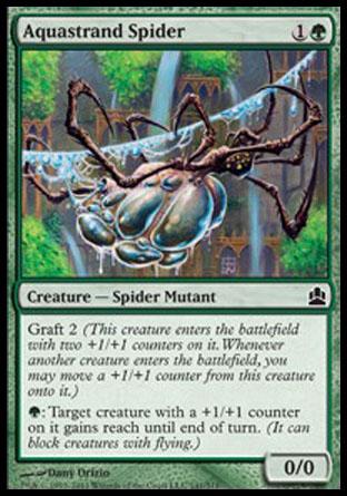 Aquastrand Spider