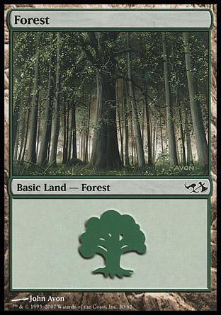 Voice of the Woods