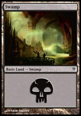 Swamp (81)