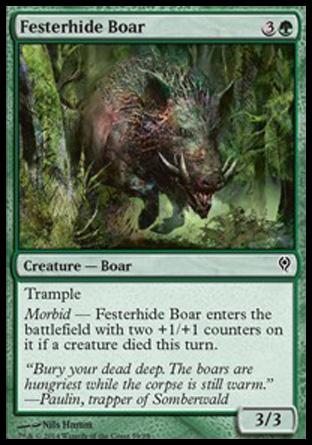 Festerhide Boar
