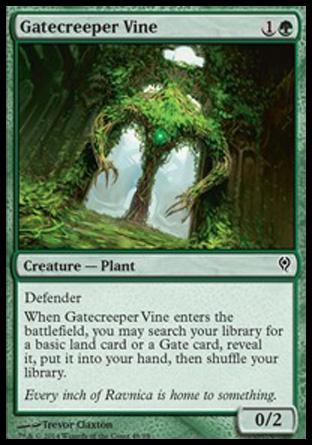 Gatecreeper Vine