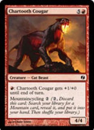 Chartooth Cougar
