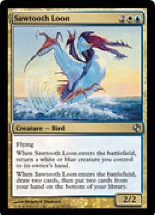 Sawtooth Loon