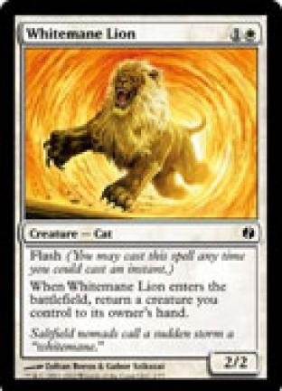 Whitemane Lion