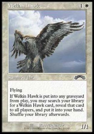 Welkin Hawk