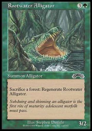Rootwater Alligator