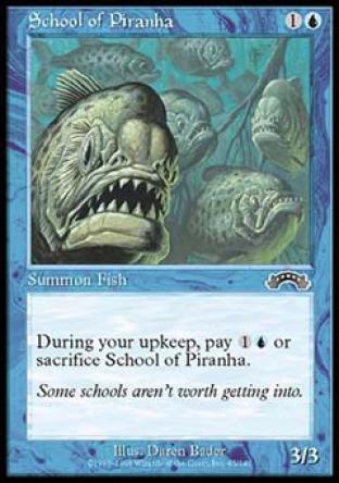 School of Piranha