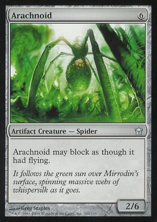Arachnoid