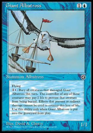 Giant Albatross (1)