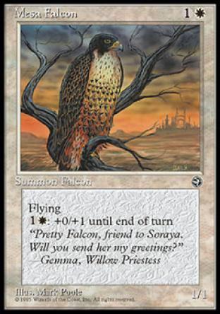 Mesa Falcon (2)