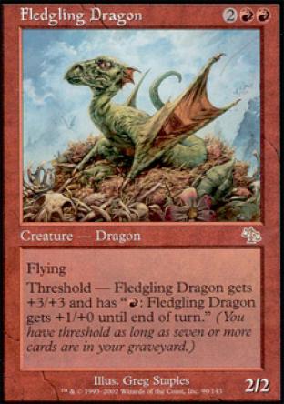 Fledgling Dragon