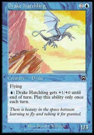 Drake Hatchling
