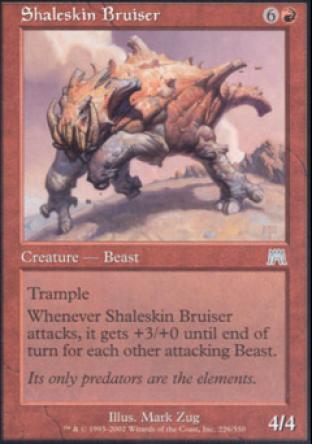 Shaleskin Bruiser