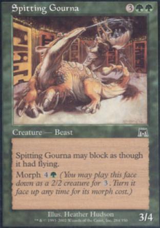 Spitting Gourna