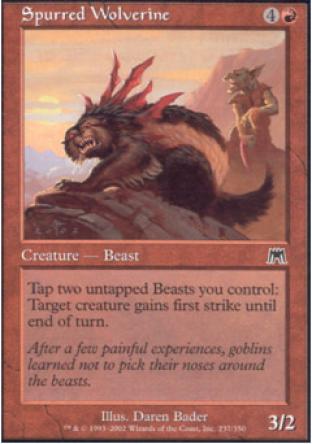Spurred Wolverine