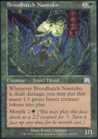 Broodhatch Nantuko