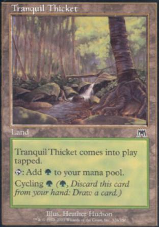 Tranquil Thicket