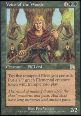 Voice of the Woods