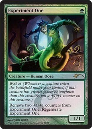 Experiment One (FNM)