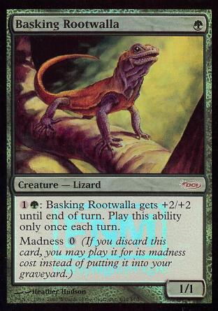 Basking Rootwalla (FNM)
