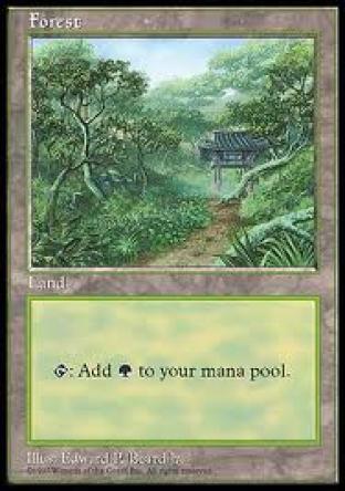 Forest APAC Clear Promo (Korea)