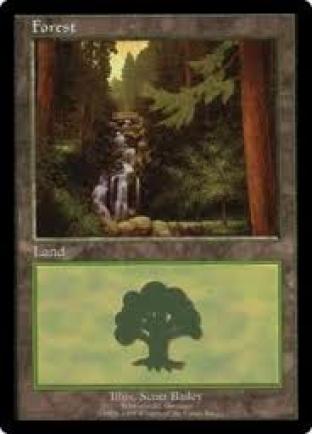 Forest EURO Blue Promo (Schwarzwald Germany)