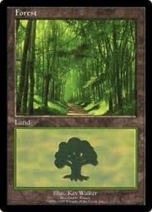 Forest EURO Red Promo (Broceliande France)