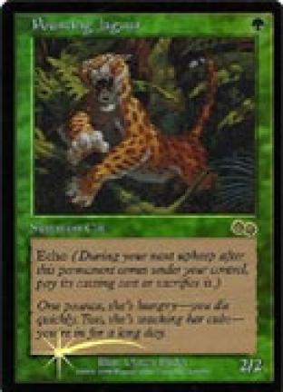 Pouncing Jaguar (US)