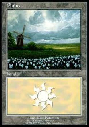 Plains EURO Red Promo (Lowlands Netherlands)