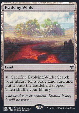 Evolving Wilds (Dragonfury)