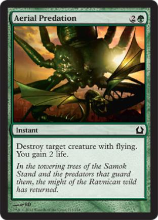 Aerial Predation