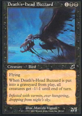 Death's-Head Buzzard