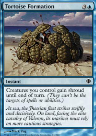 Tortoise Formation