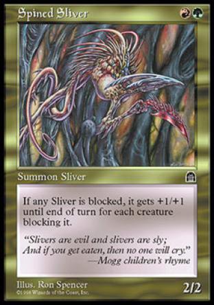 Spined Sliver
