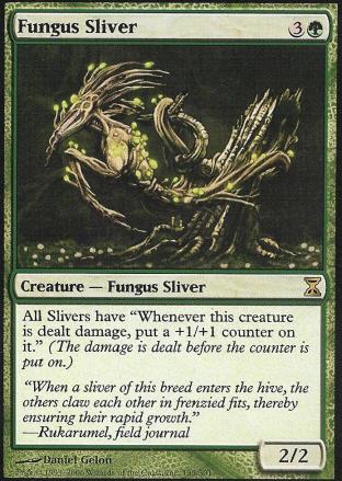 Fungus Sliver
