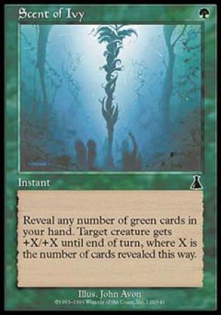 Scent of Ivy