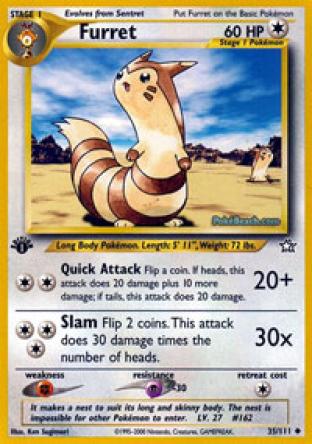 Furret