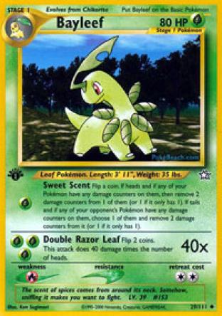 Bayleef Lv. 39