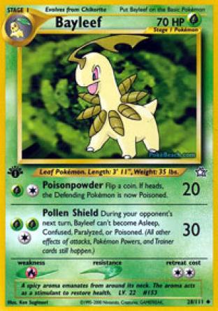 Bayleef Lv. 22