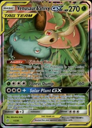 Venusaur & Snivy GX