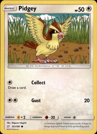 Pidgey