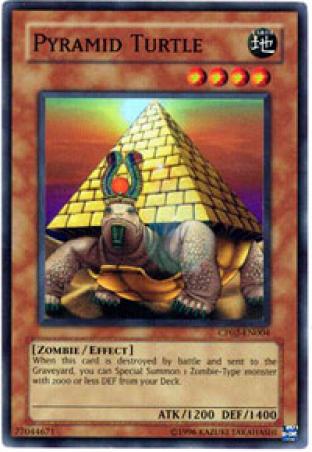 Pyramid Turtle