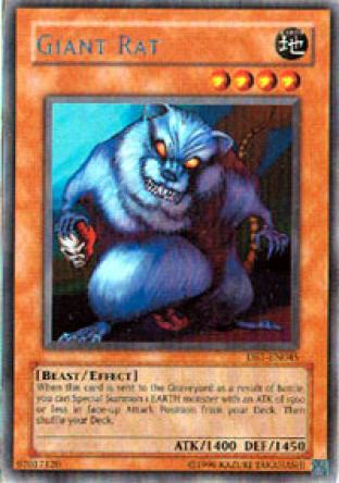 Giant Rat