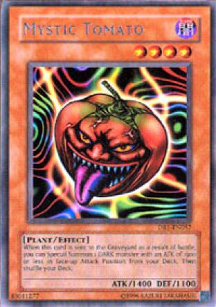 Mystic Tomato