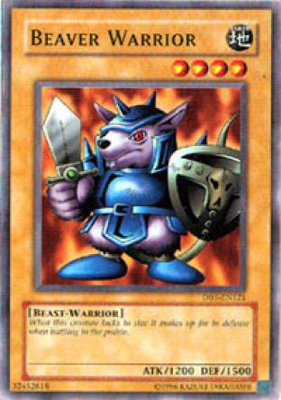 Beaver Warrior