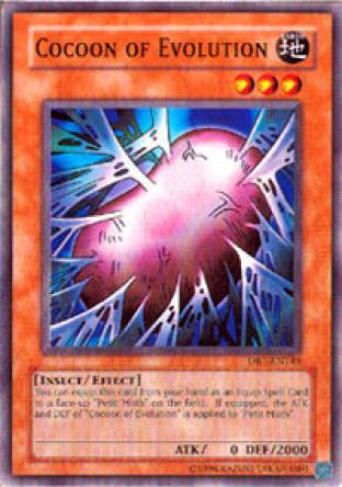 Cocoon of Evolution